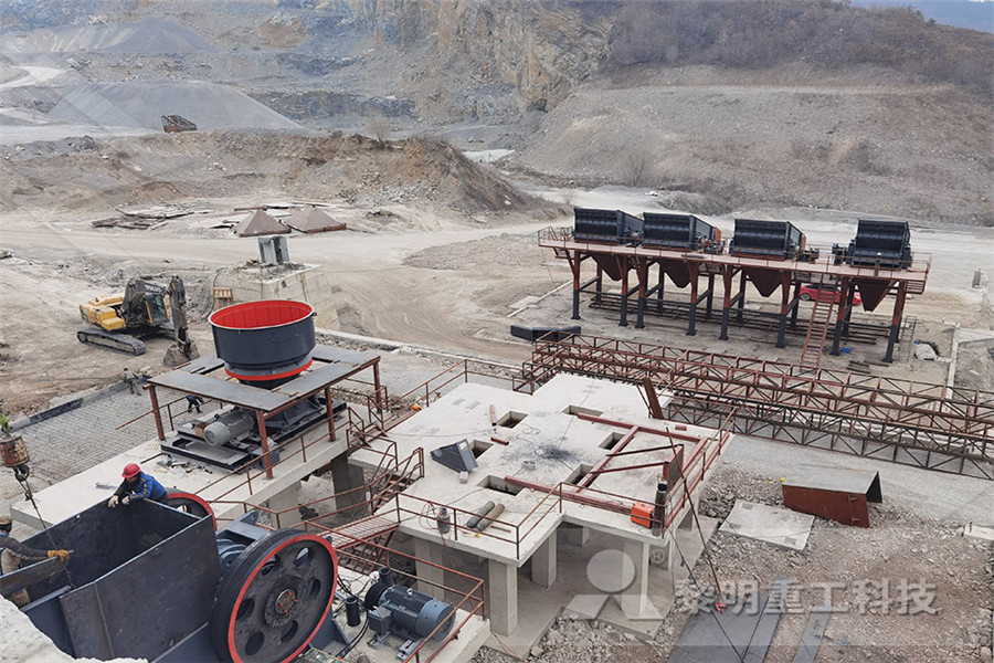 india double roller crusher  